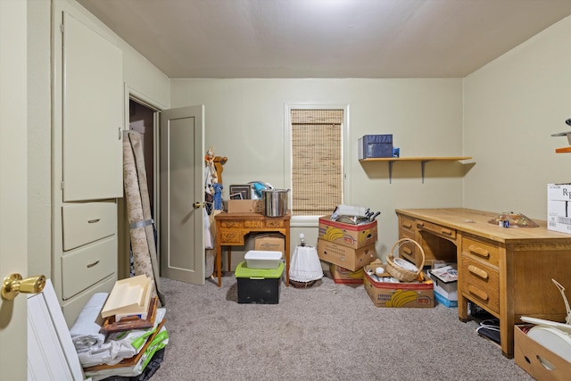 office featuring light colored carpet