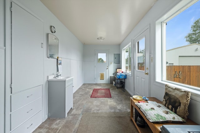 foyer with a wealth of natural light, electric panel, and sink