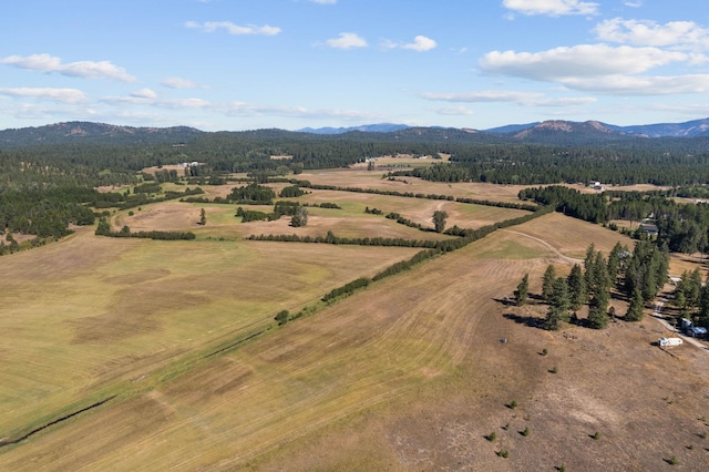 aerial view with a mountain view and a rural view