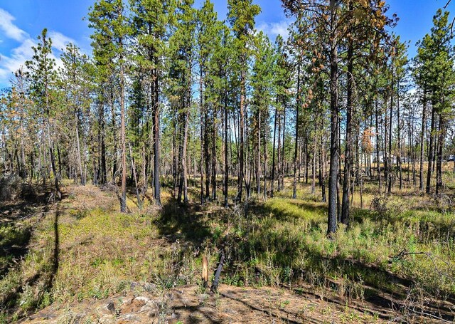 125XX S Clear Lake Rd Lot # 3, Medical Lake, WA 99022