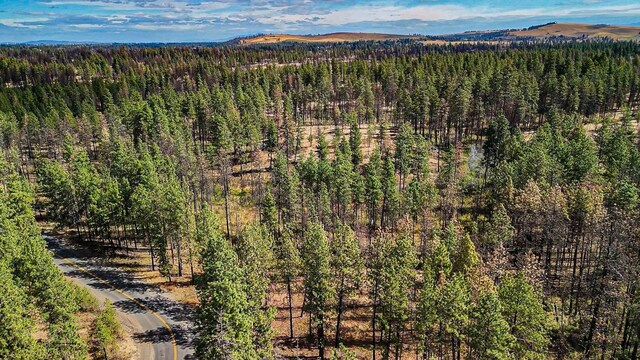 125XX S Clear Lake Rd Lot # 3, Medical Lake, WA 99022