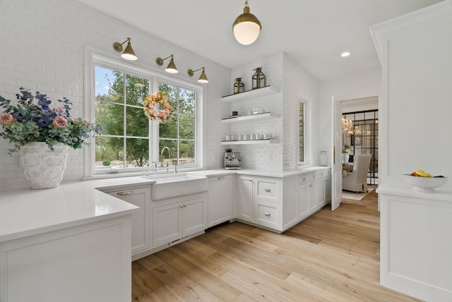 bathroom with wood-type flooring, sink, and decorative backsplash