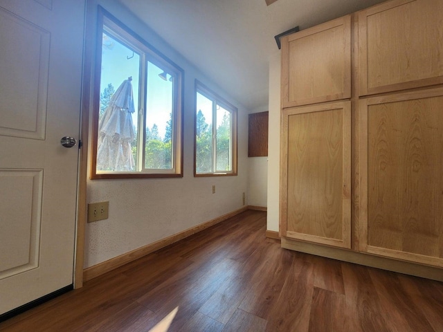 unfurnished bedroom featuring dark hardwood / wood-style flooring