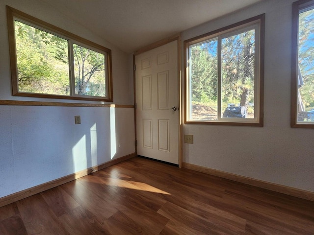 spare room featuring a healthy amount of sunlight, vaulted ceiling, and dark hardwood / wood-style floors