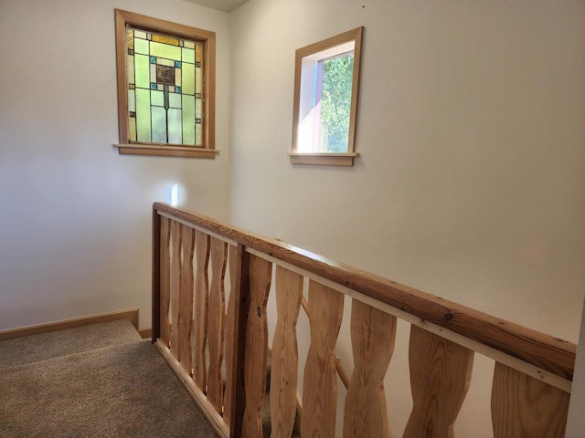 stairway with carpet floors and a healthy amount of sunlight