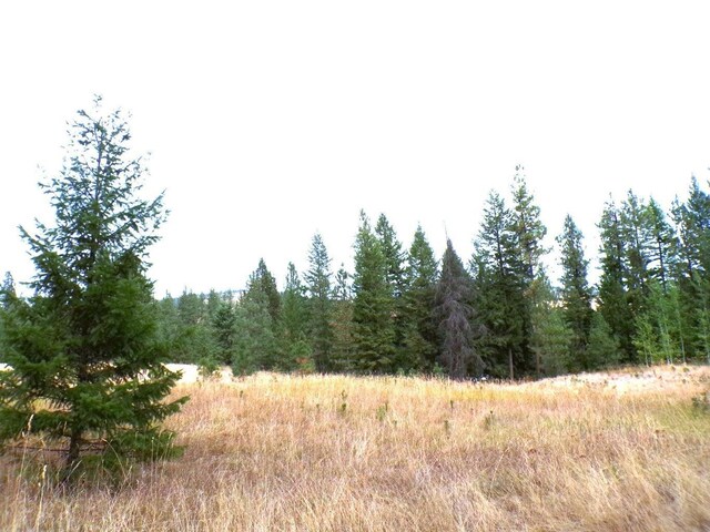 XX Cedar Creek Rd, Inchelium WA, 99138 land for sale