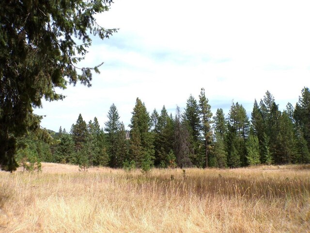 Listing photo 3 for XX Cedar Creek Rd, Inchelium WA 99138