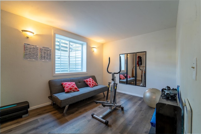 exercise room featuring dark hardwood / wood-style floors