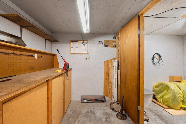 view of finished basement