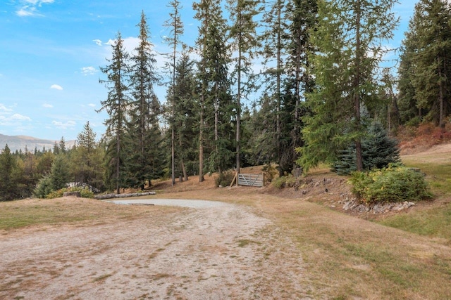 view of yard featuring a forest view