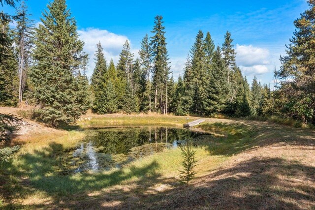 water view with a wooded view
