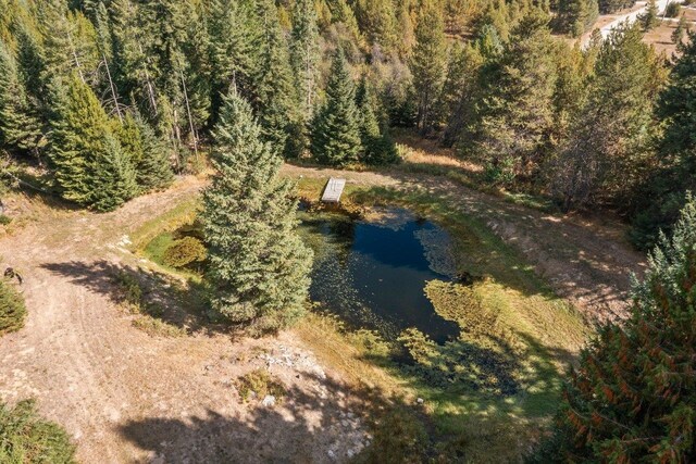 aerial view with a view of trees and a water view