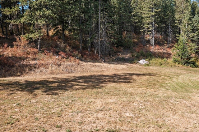 view of yard with a wooded view