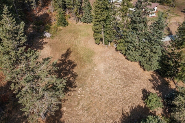 birds eye view of property featuring a wooded view
