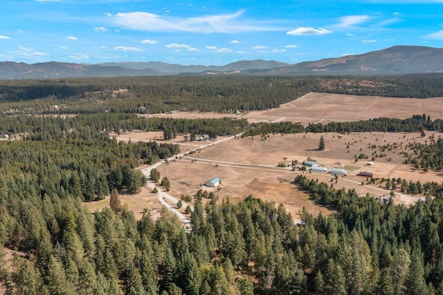 aerial view with a forest view and a mountain view
