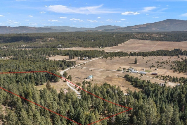 drone / aerial view featuring a forest view and a mountain view