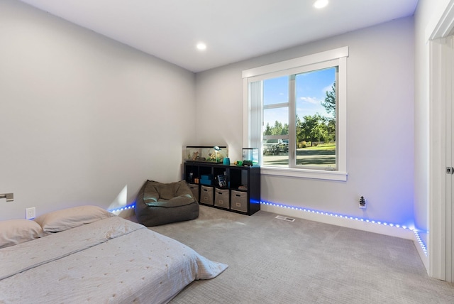 carpeted bedroom with a spacious closet and a closet