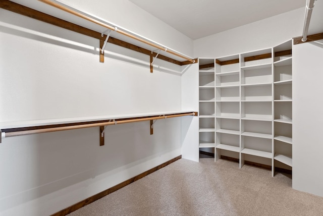 walk in closet with light carpet