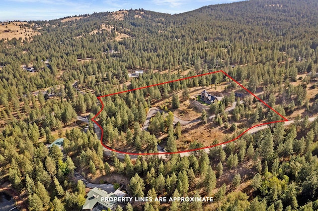 birds eye view of property with a mountain view