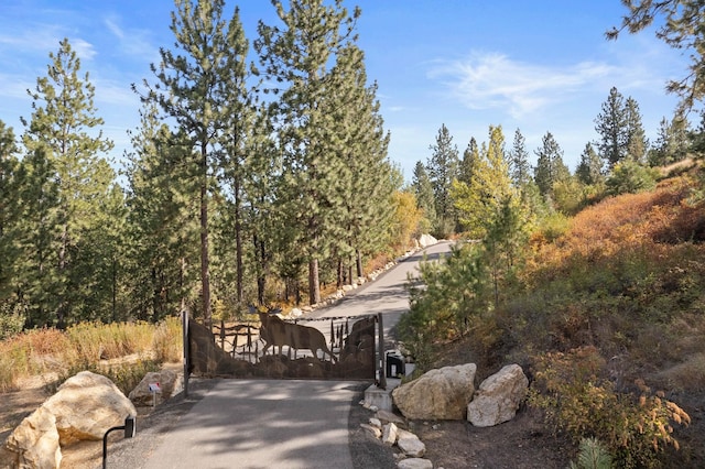 view of property's community featuring a gate