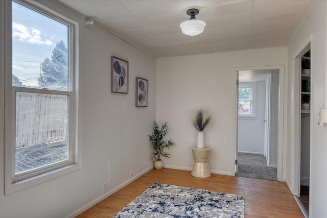 interior space featuring light hardwood / wood-style floors