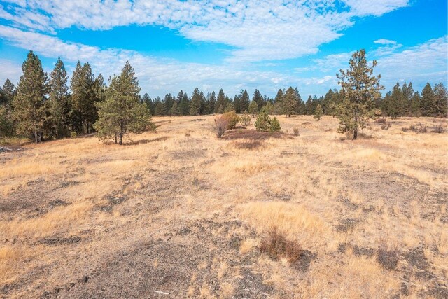 00 Indian Bluff Rd, Spokane, WA 99224 - photo 15