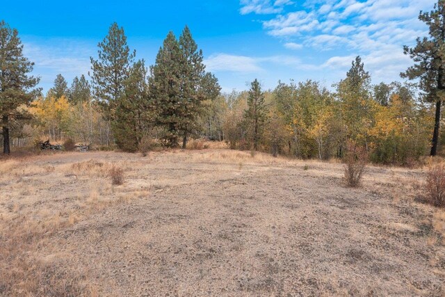 00 Indian Bluff Rd, Spokane, WA 99224 - photo 17