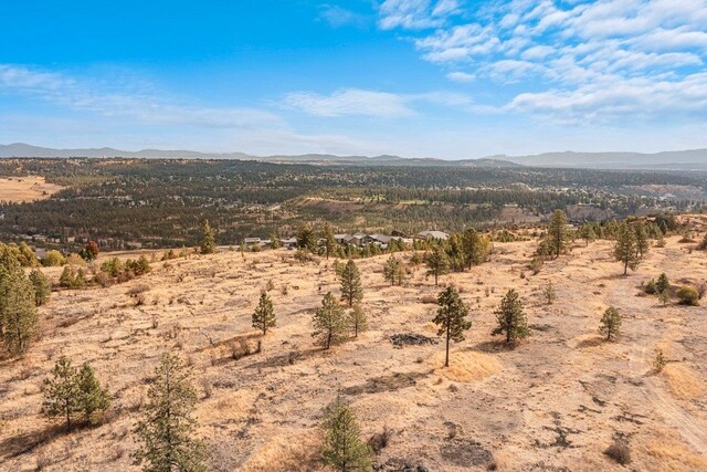 00 Indian Bluff Rd, Spokane, WA 99224 - photo 19