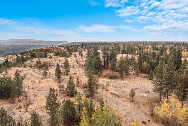 00 Indian Bluff Rd, Spokane, WA 99224 - photo 21