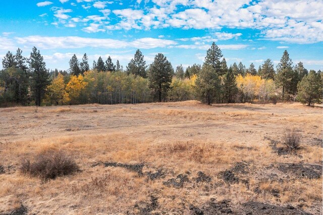 00 Indian Bluff Rd, Spokane, WA 99224 - photo 23