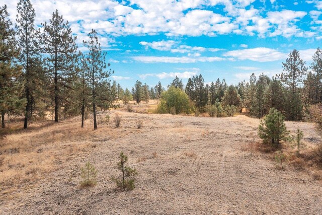 00 Indian Bluff Rd, Spokane, WA 99224 - photo 24