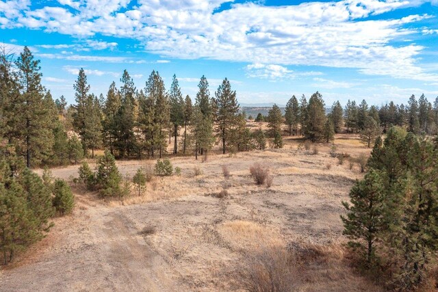 00 Indian Bluff Rd, Spokane, WA 99224 - photo 9