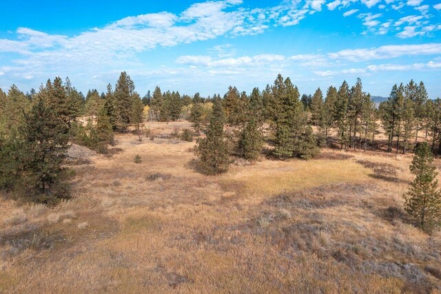 00 Indian Bluff Rd, Spokane, WA 99224 - photo 10