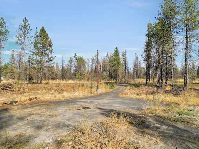 16120 S Clear Lake Rd, Cheney, WA 99004