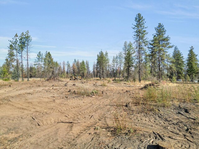16120 S Clear Lake Rd, Cheney, WA 99004