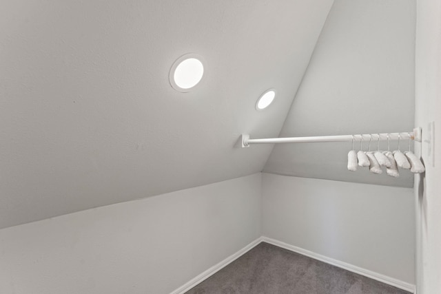 walk in closet featuring vaulted ceiling and carpet