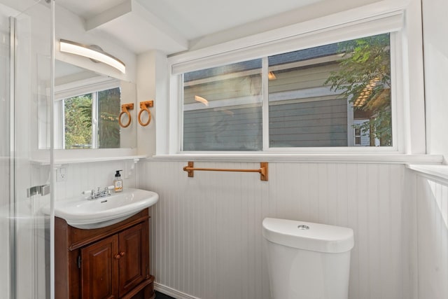 bathroom with wooden walls, vanity, and toilet