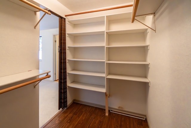 spacious closet featuring dark hardwood / wood-style flooring