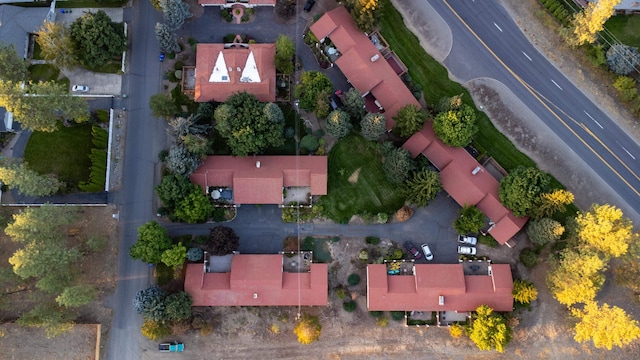 bird's eye view