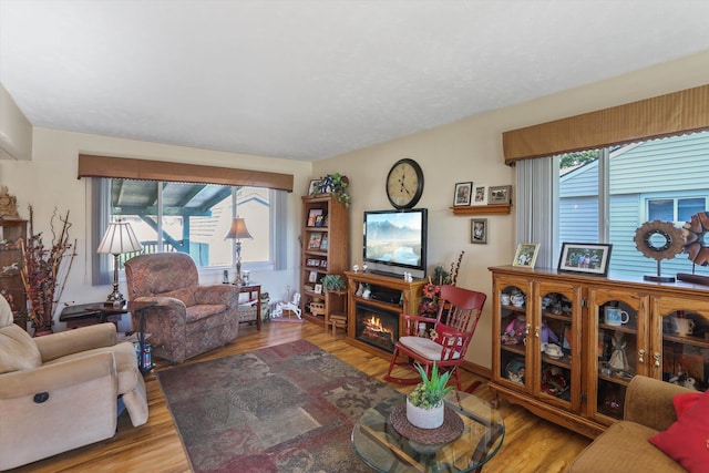 living room with a wealth of natural light and light hardwood / wood-style floors