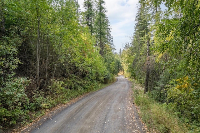 109XX Forney Rd, Mica WA, 99023 land for sale