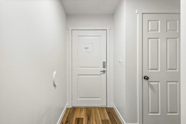 doorway featuring wood-type flooring and a textured ceiling