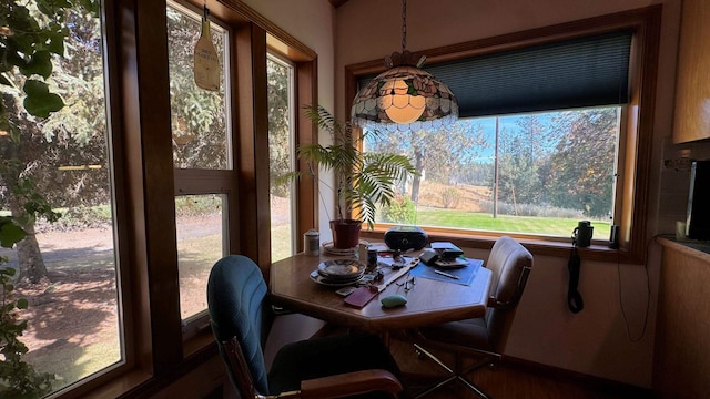 dining space featuring plenty of natural light