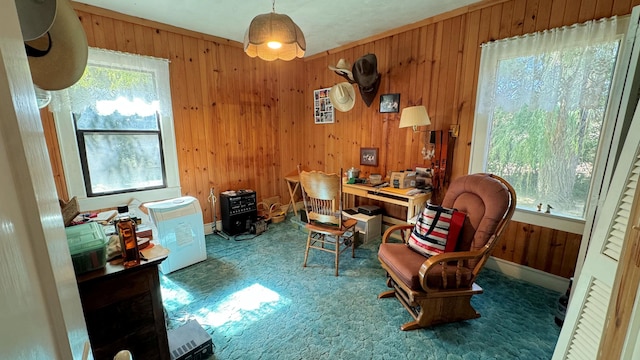 office space featuring carpet flooring, wooden walls, and plenty of natural light