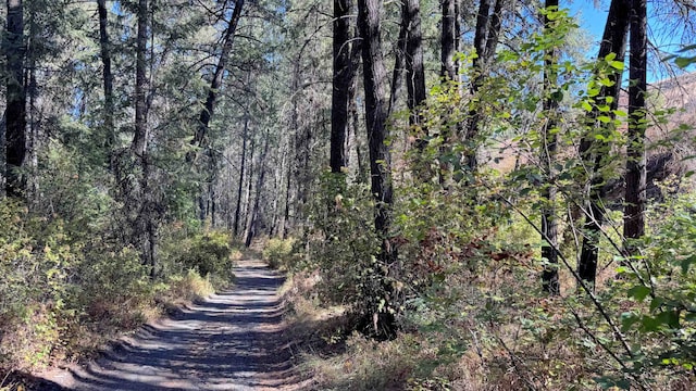 view of road