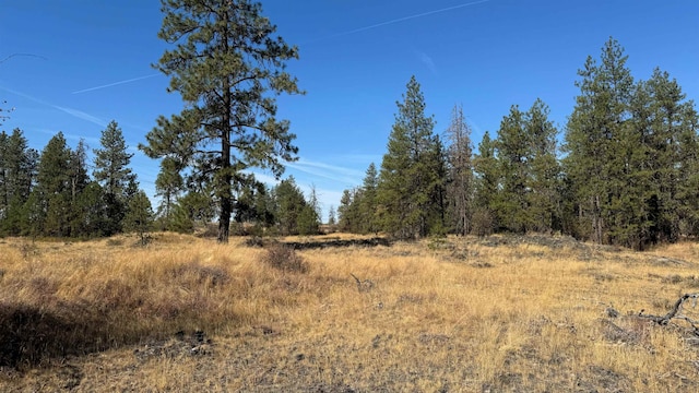 view of local wilderness