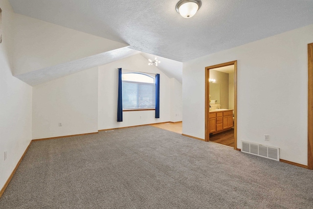 additional living space featuring carpet floors, a textured ceiling, lofted ceiling, and sink