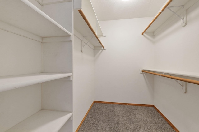 walk in closet with carpet