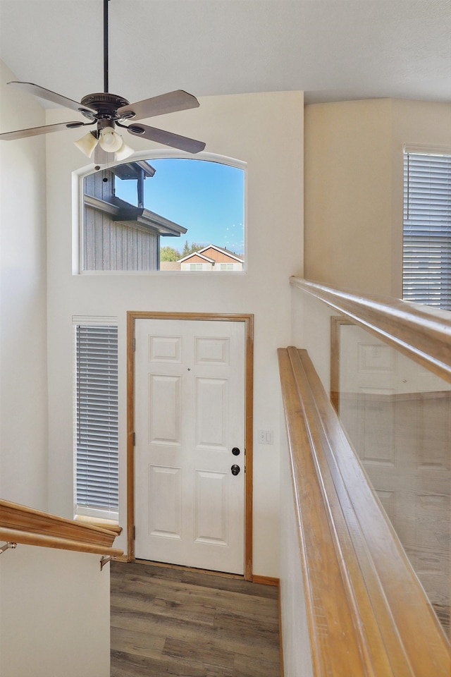 foyer entrance featuring ceiling fan and dark wood-type flooring