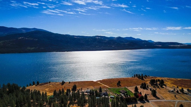 view of water feature with a mountain view